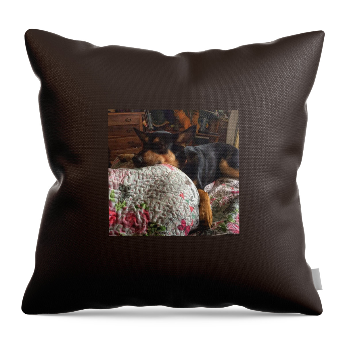 Petstagram Throw Pillow featuring the photograph Comfort. #dogs #gsd #germanshepherd by Abbie Shores