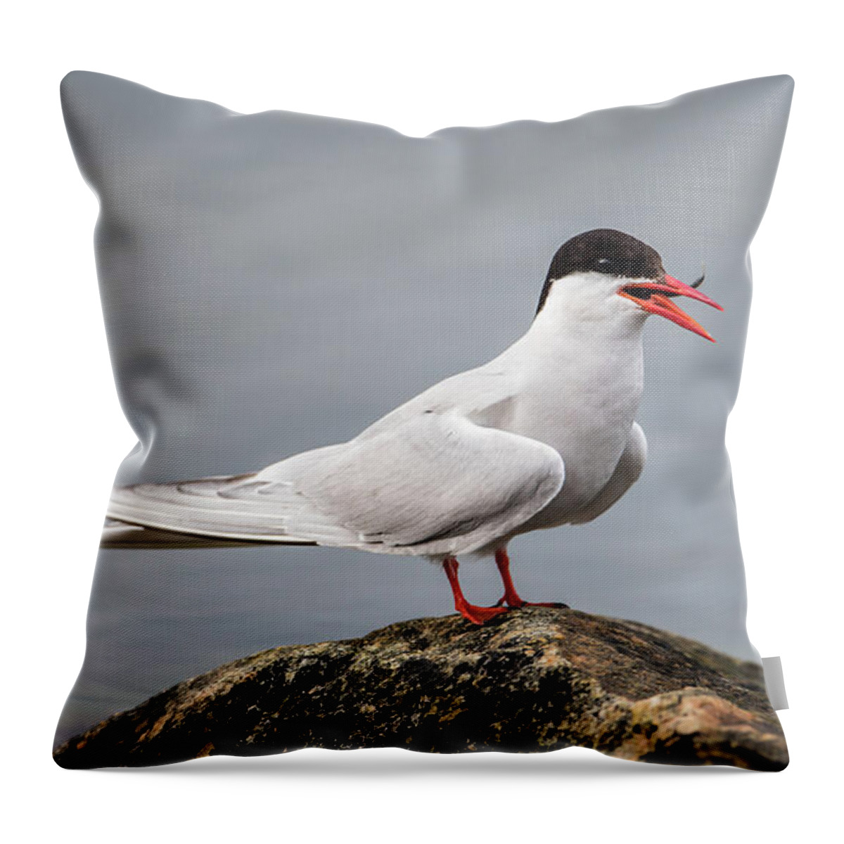 Common Tern Throw Pillow featuring the photograph Common Tern by Torbjorn Swenelius