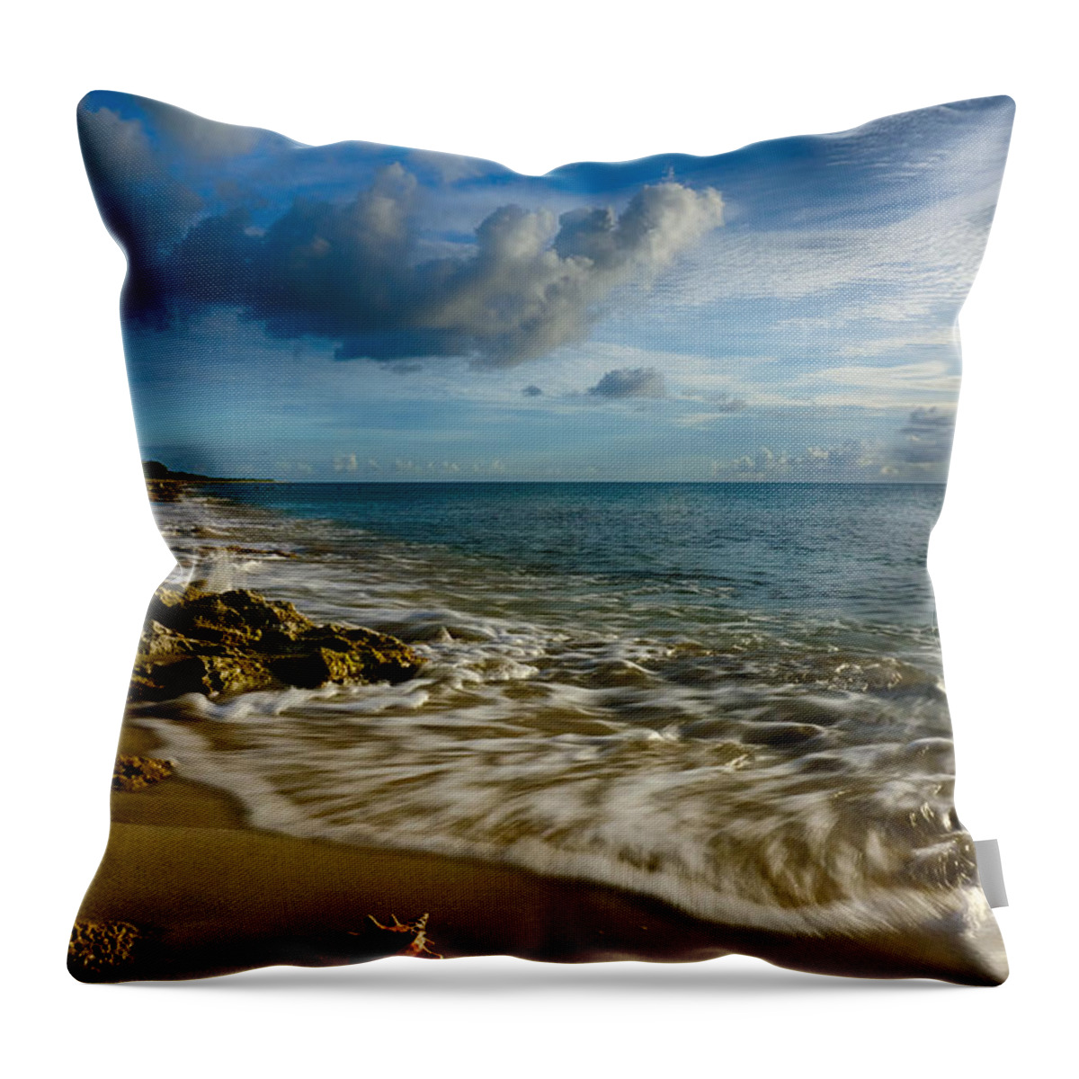 Pristine Throw Pillow featuring the photograph Conch Shell by Amanda Jones