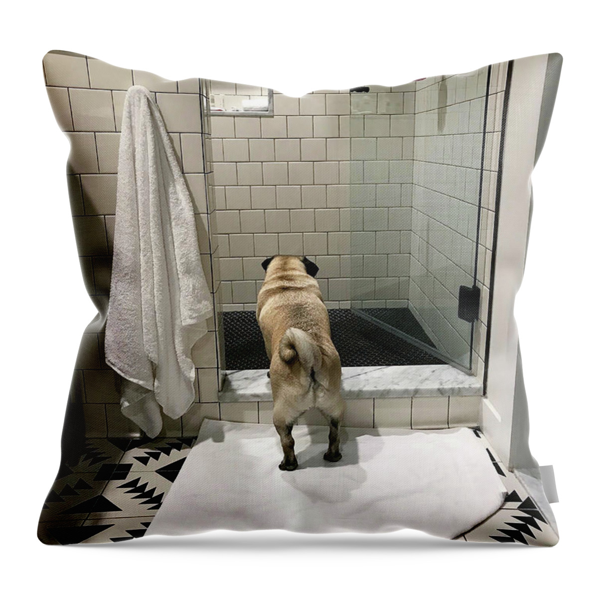 Pug Throw Pillow featuring the photograph Contemplating by Jackson Pearson