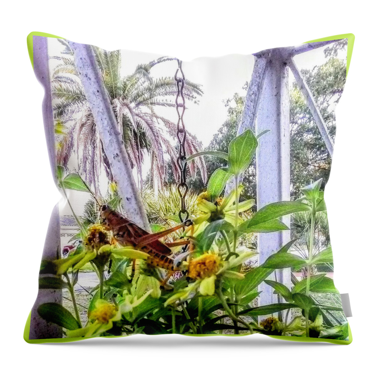 Grasshopper Throw Pillow featuring the photograph Contemplating by Suzanne Berthier