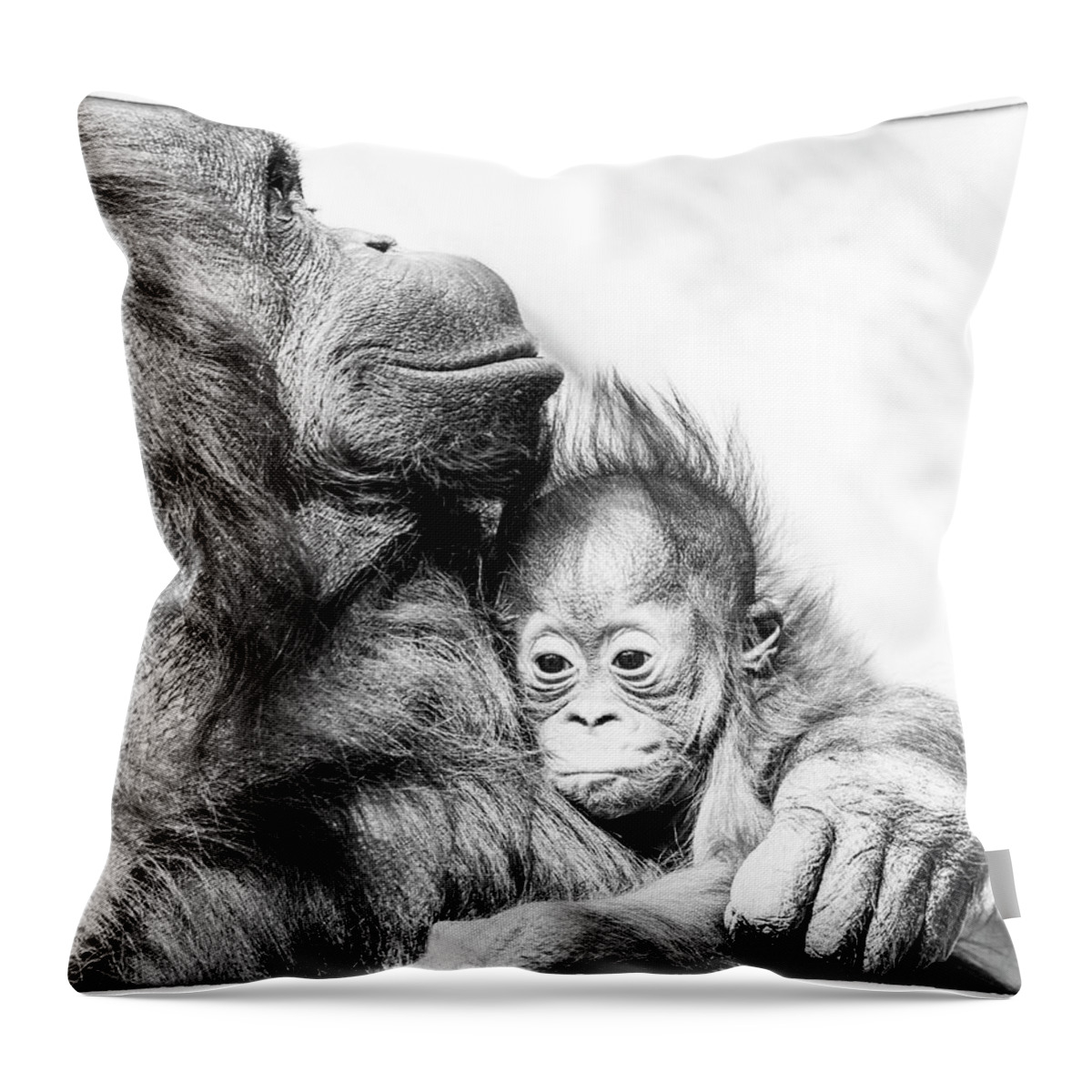 Crystal Yingling Throw Pillow featuring the photograph Contentment by Ghostwinds Photography