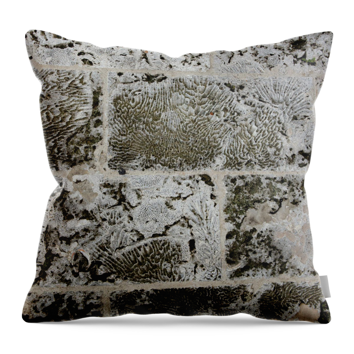 Texture Throw Pillow featuring the photograph Coral Wall 205 by Michael Fryd
