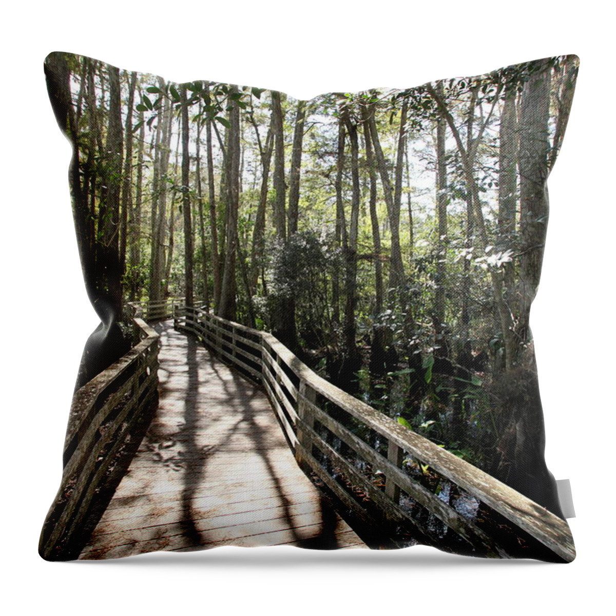Corkscrew Swamp Sanctuary Throw Pillow featuring the photograph Corkscrew Swamp 697 by Michael Fryd