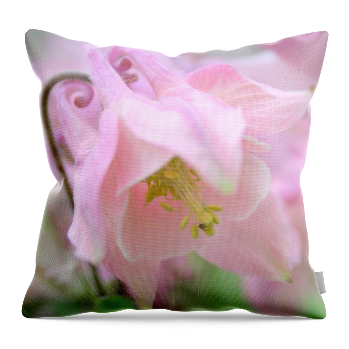 Flower Throw Pillow featuring the photograph Cotton Candy by Julie Lueders 