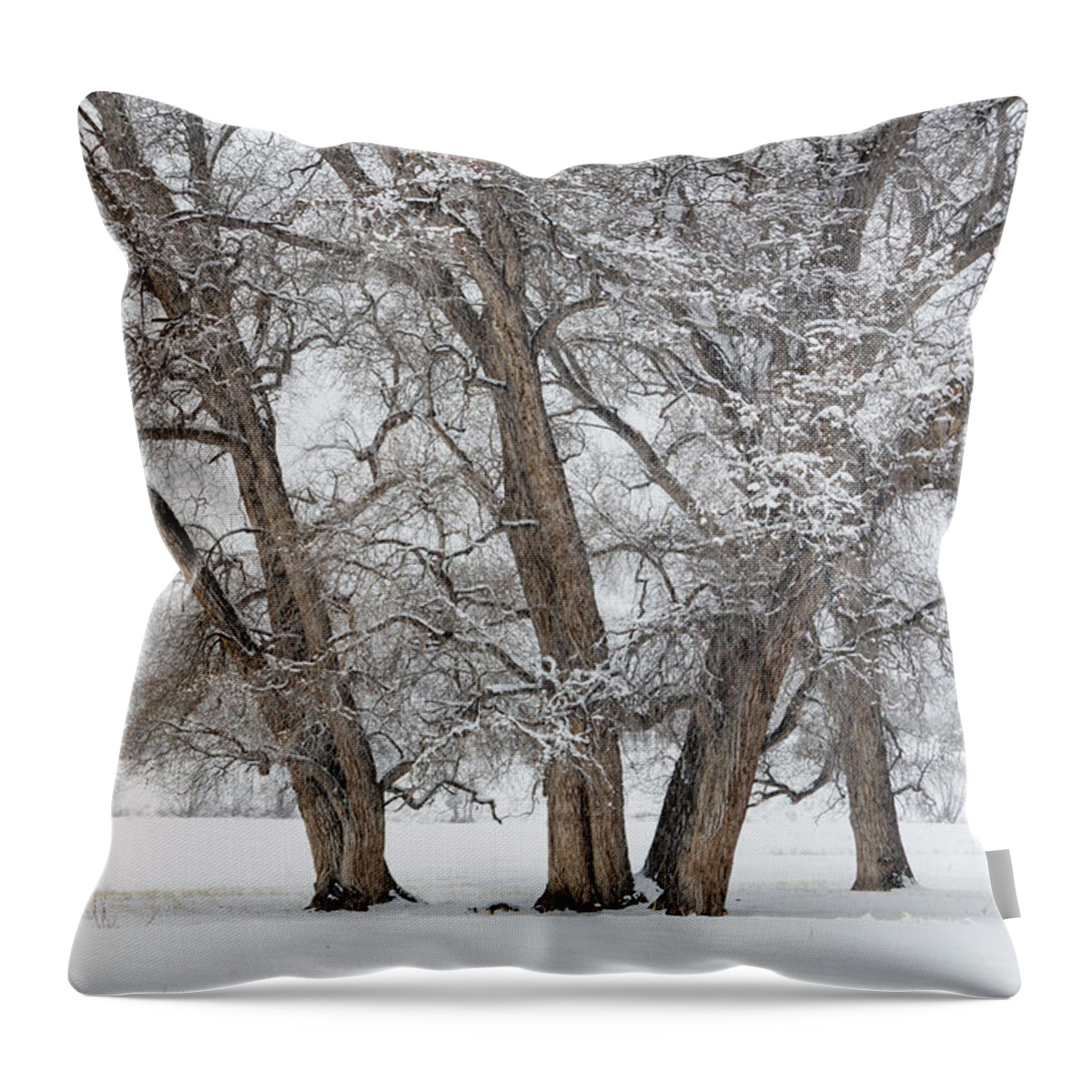 Cottonwood Throw Pillow featuring the photograph Cottonwood Companions by Denise Bush