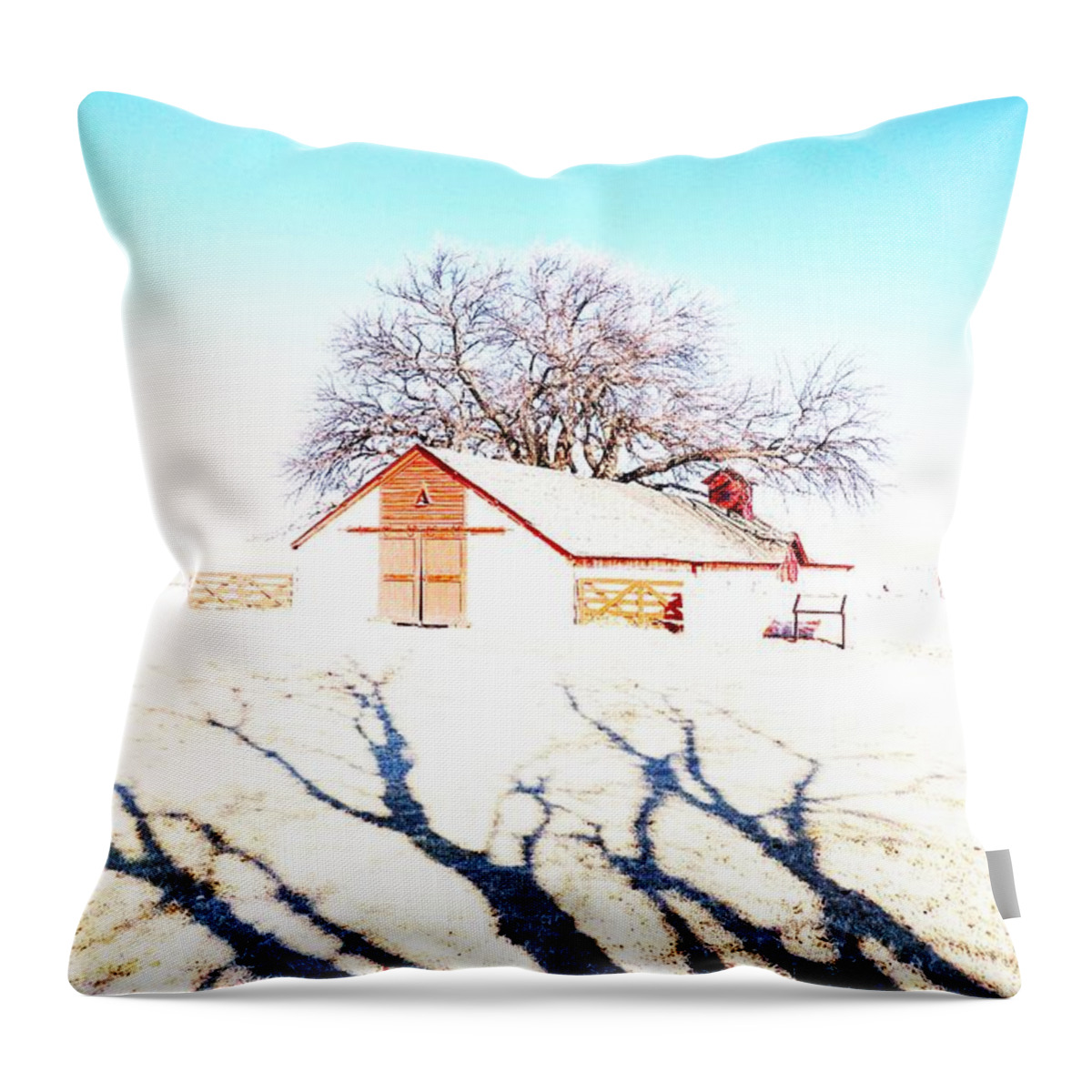 Ranch Throw Pillow featuring the photograph Cottonwood Ranch, Kansas by Merle Grenz
