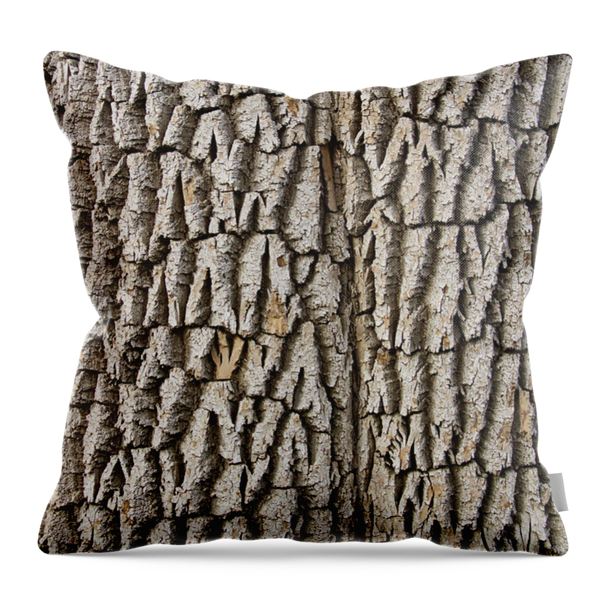 Texture Prints Throw Pillow featuring the photograph Cottonwood Tree Texture Print by James BO Insogna