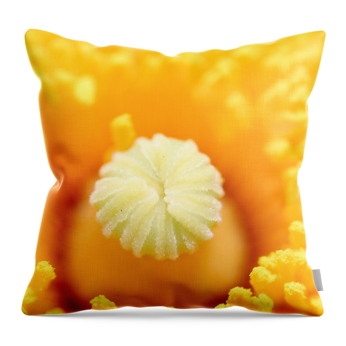 Flower Throw Pillow featuring the photograph Coulter's Poppy 5 by Amy Fose