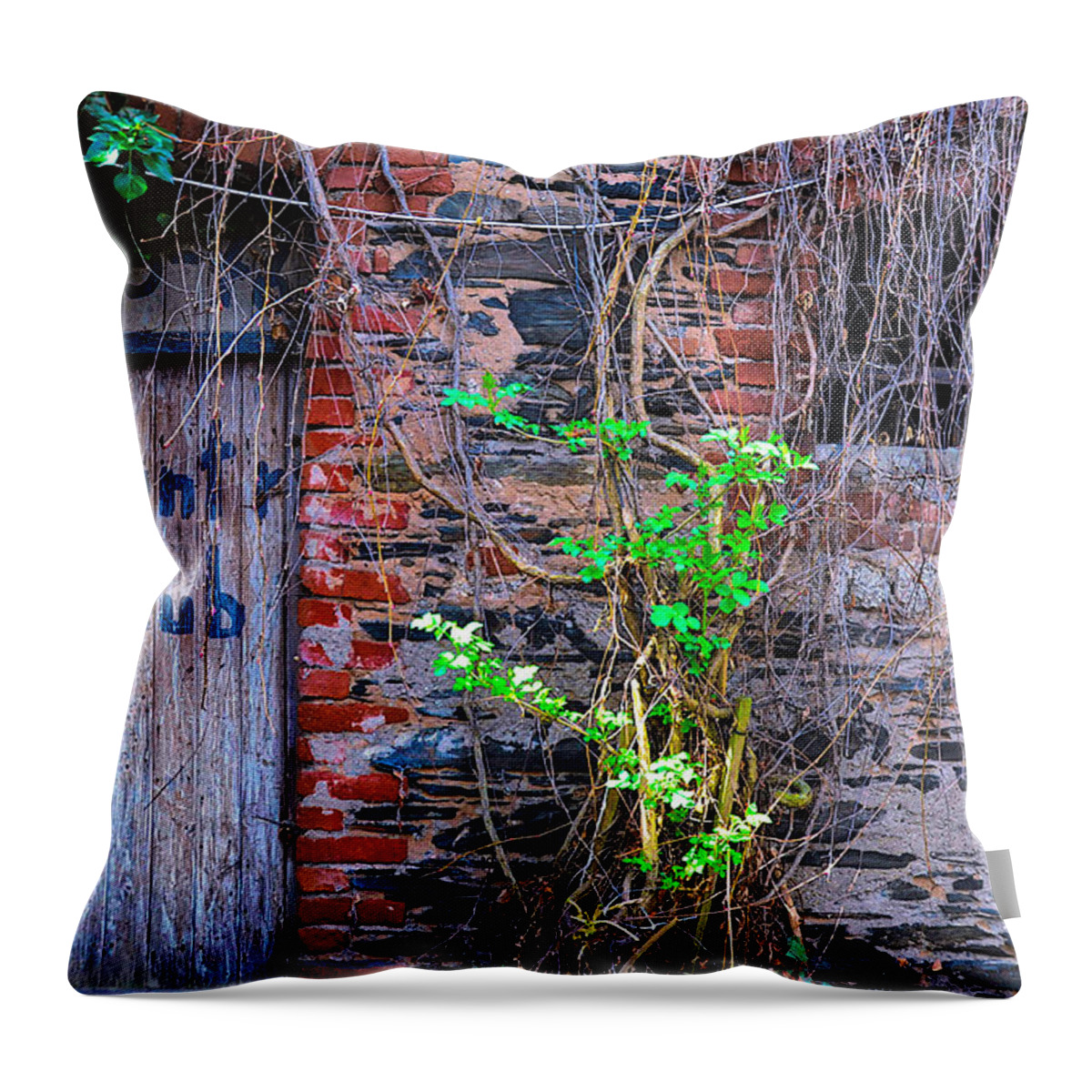 Europe Throw Pillow featuring the photograph Country Club by Richard Gehlbach