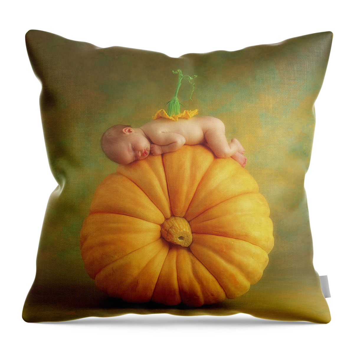 Fall Throw Pillow featuring the photograph Country Pumpkin by Anne Geddes