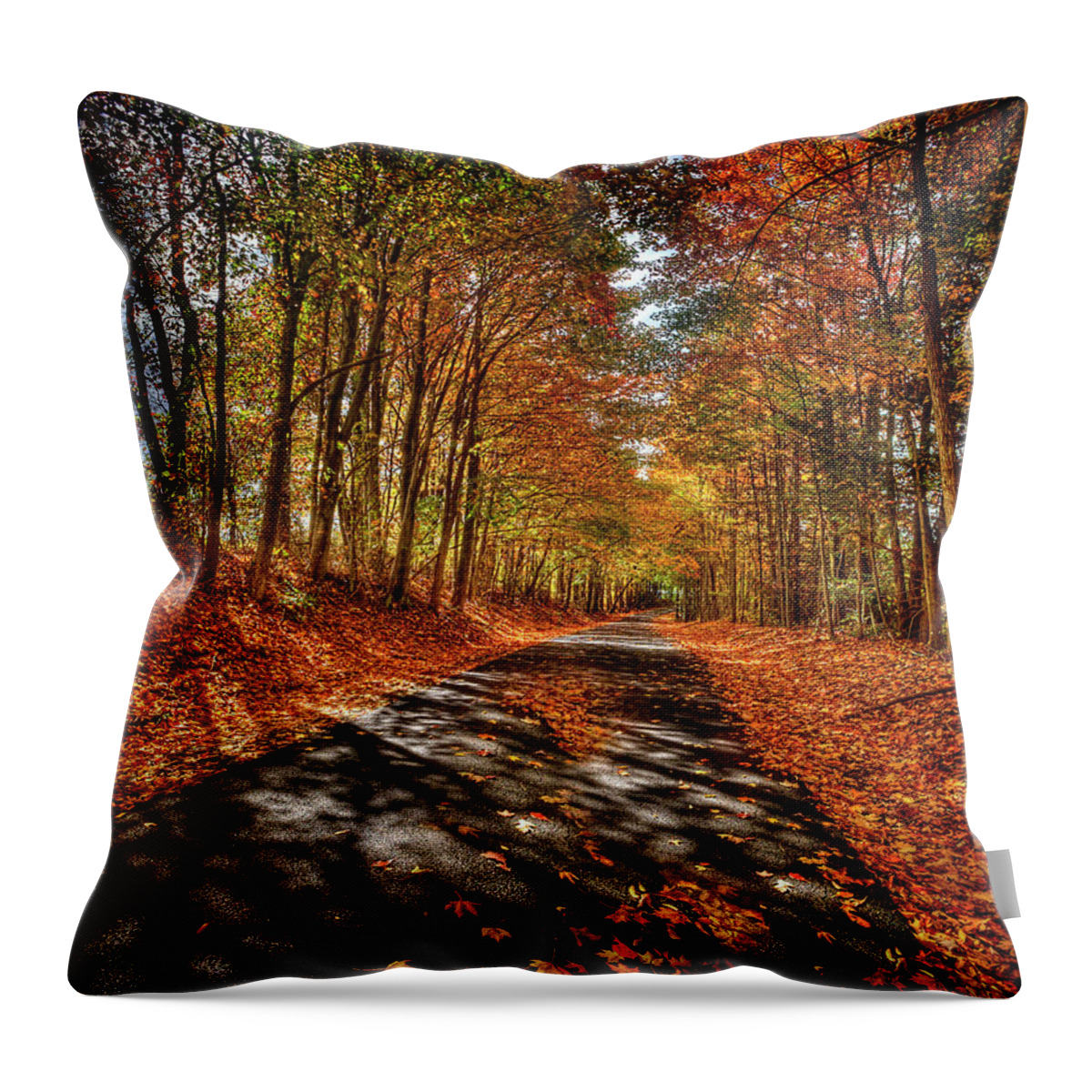 Mark T. Allen Throw Pillow featuring the photograph Country Road by Mark Allen