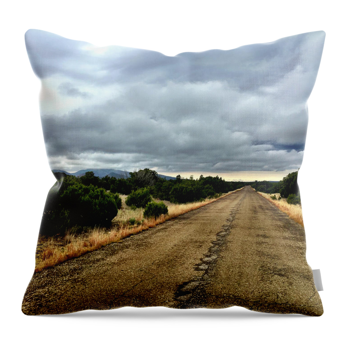 Road Throw Pillow featuring the photograph County Road by Brad Hodges
