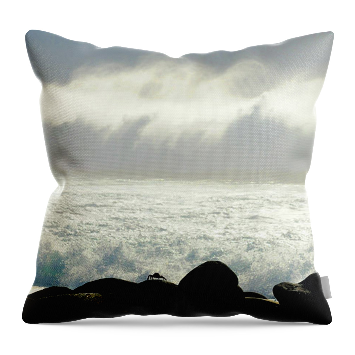 Crab Throw Pillow featuring the photograph Crab Awaiting Impending Wave by Ted Keller