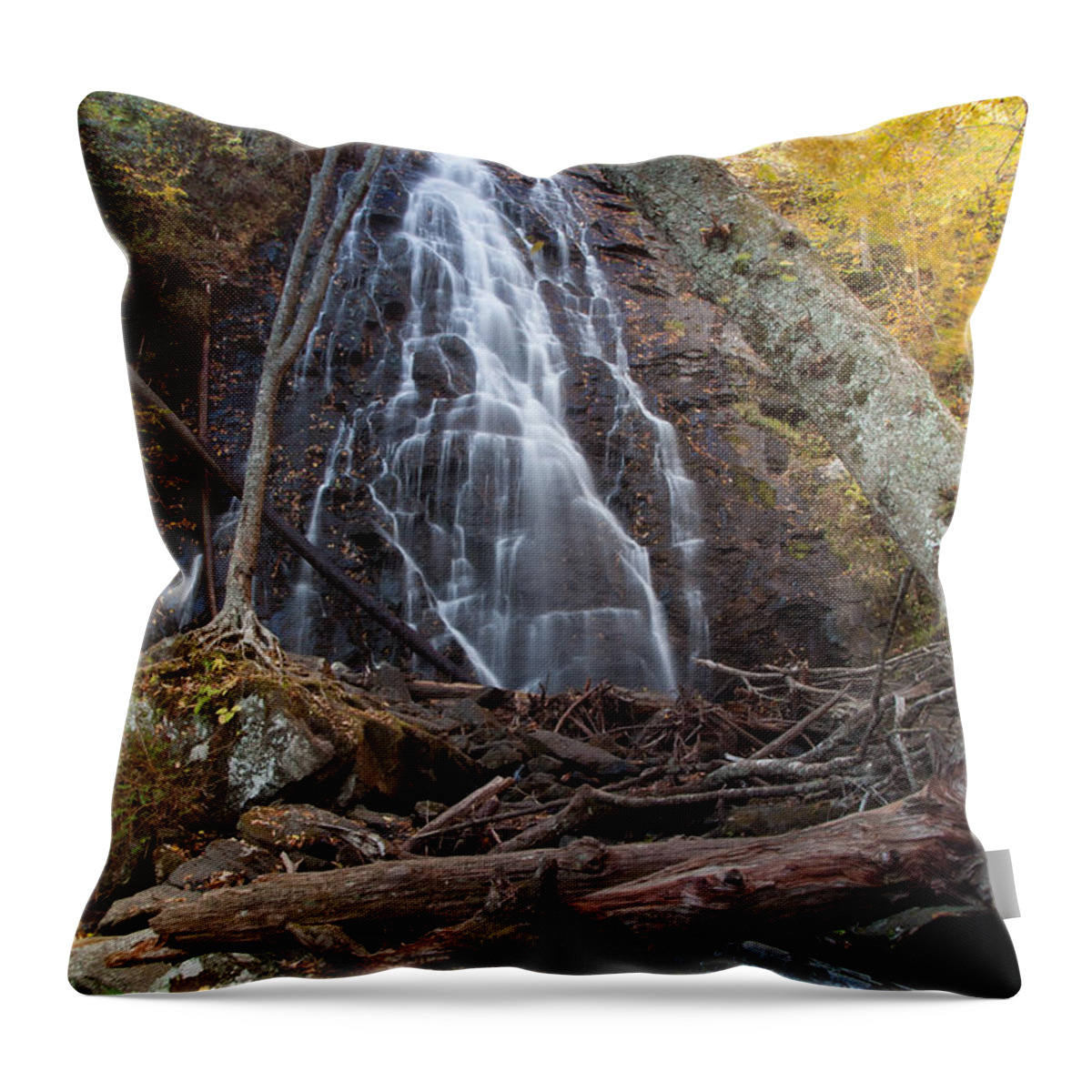 Landscape Throw Pillow featuring the photograph Crabtree-17 by Joye Ardyn Durham