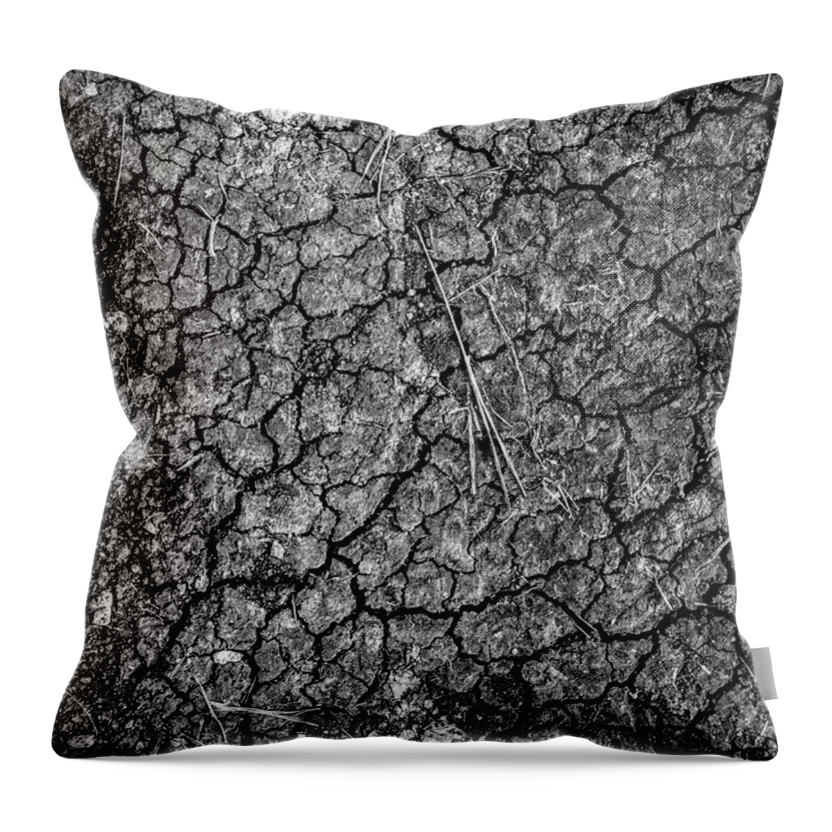 Cracked Ground Throw Pillow featuring the photograph Cracked by Michael Brungardt