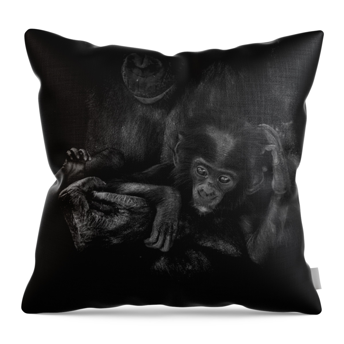 Crystal Yingling Throw Pillow featuring the photograph Cradle by Ghostwinds Photography