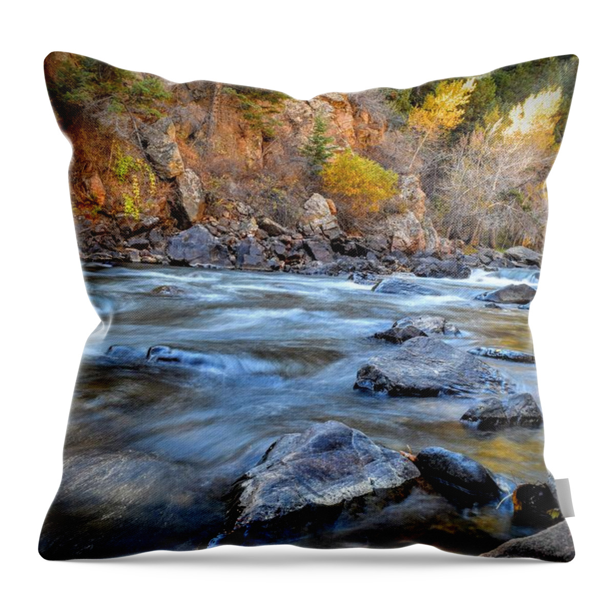 Creek Throw Pillow featuring the photograph Creek Morning by Michael Brungardt