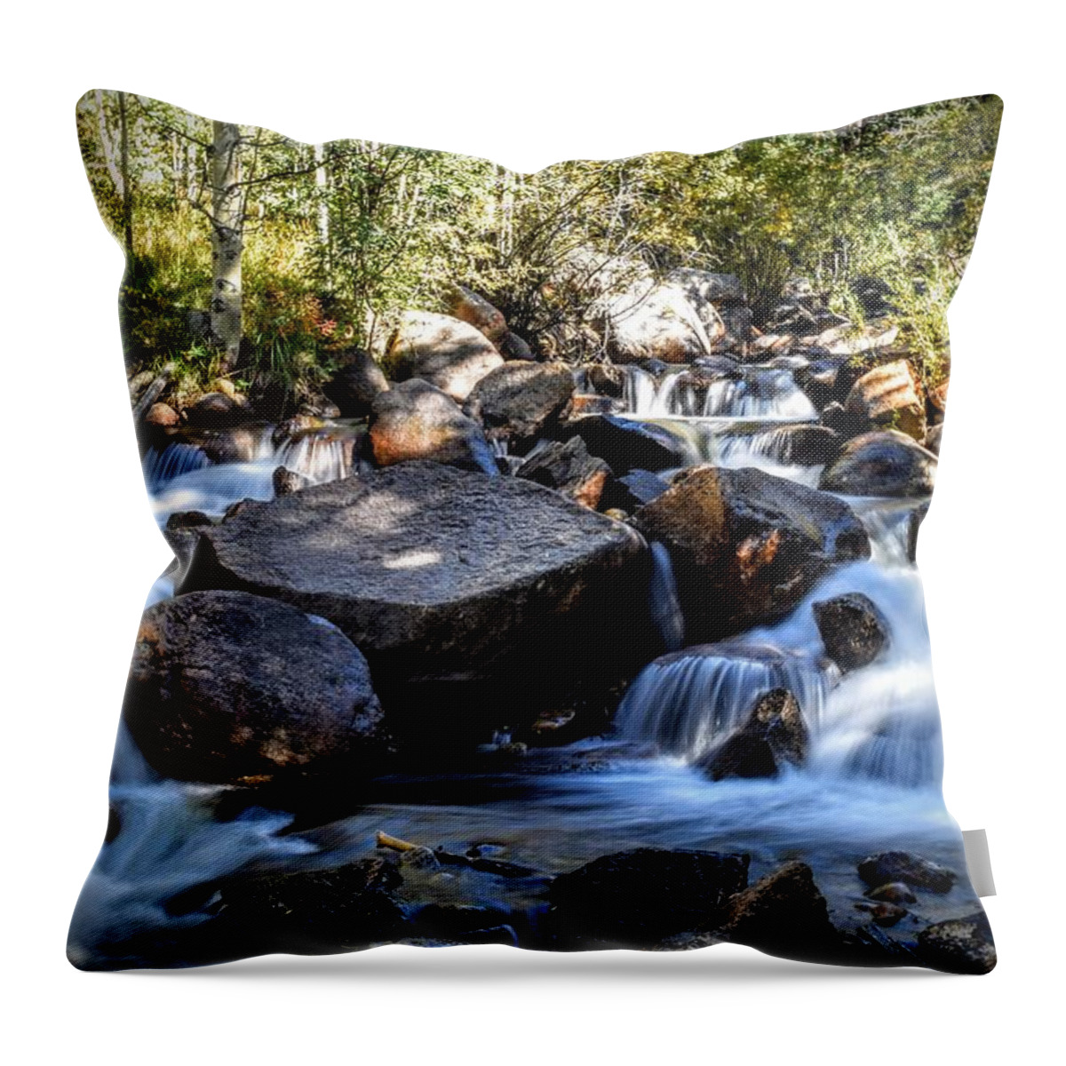 Creek Throw Pillow featuring the photograph Creeky Steps by Michael Brungardt