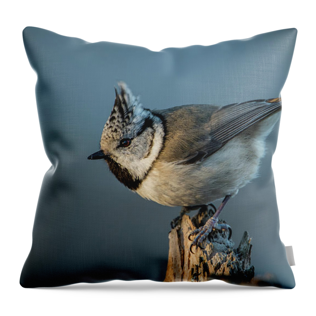 Crest Throw Pillow featuring the photograph Crest by Torbjorn Swenelius