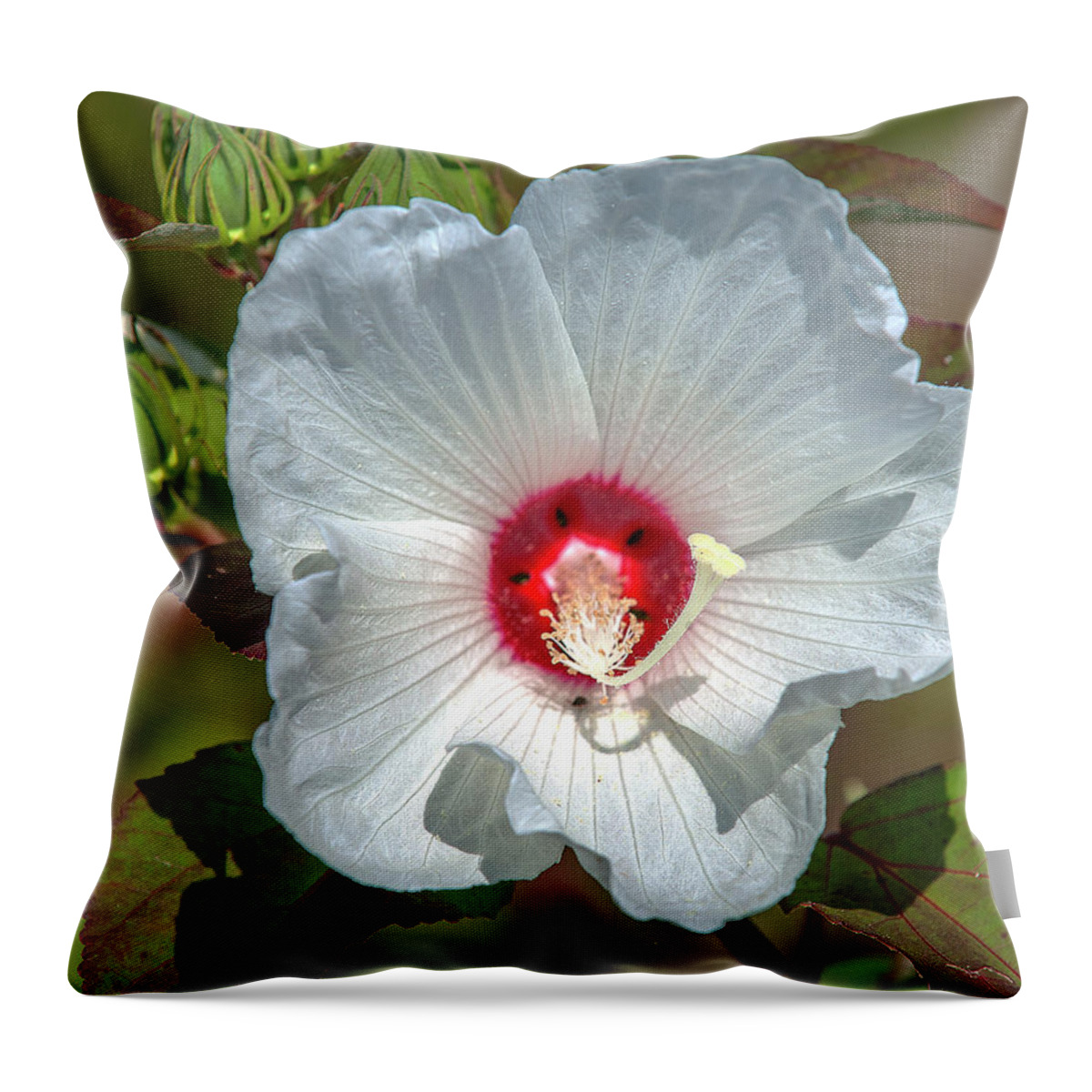 Marsh Throw Pillow featuring the photograph Crimson-eyed Rosemallow DSMF0321 by Gerry Gantt