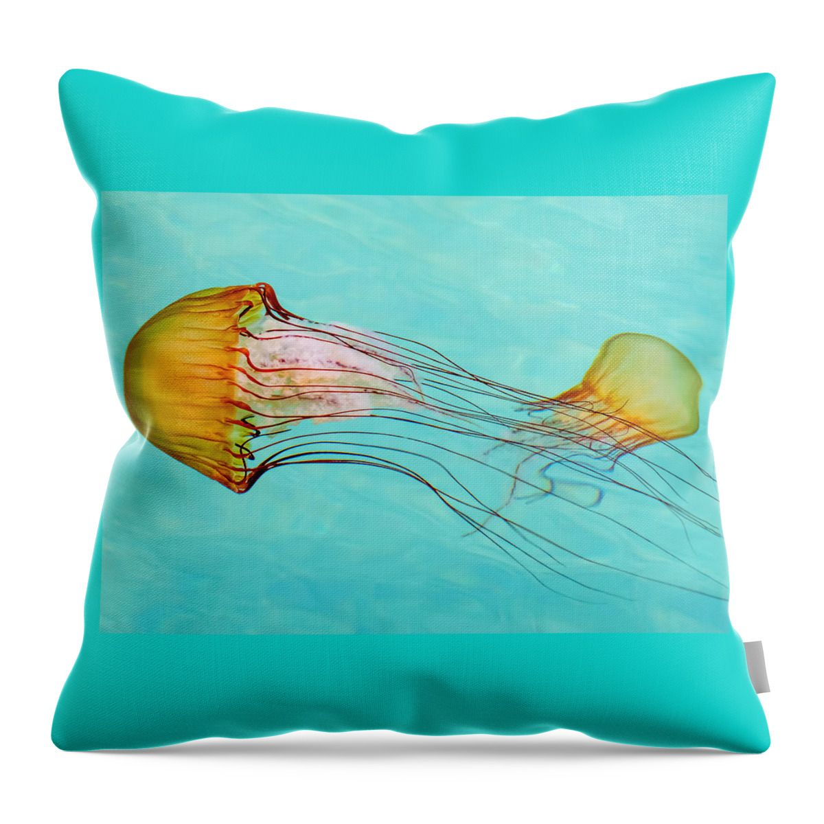 Jelly Fish Throw Pillow featuring the photograph Criss Cross by Derek Dean