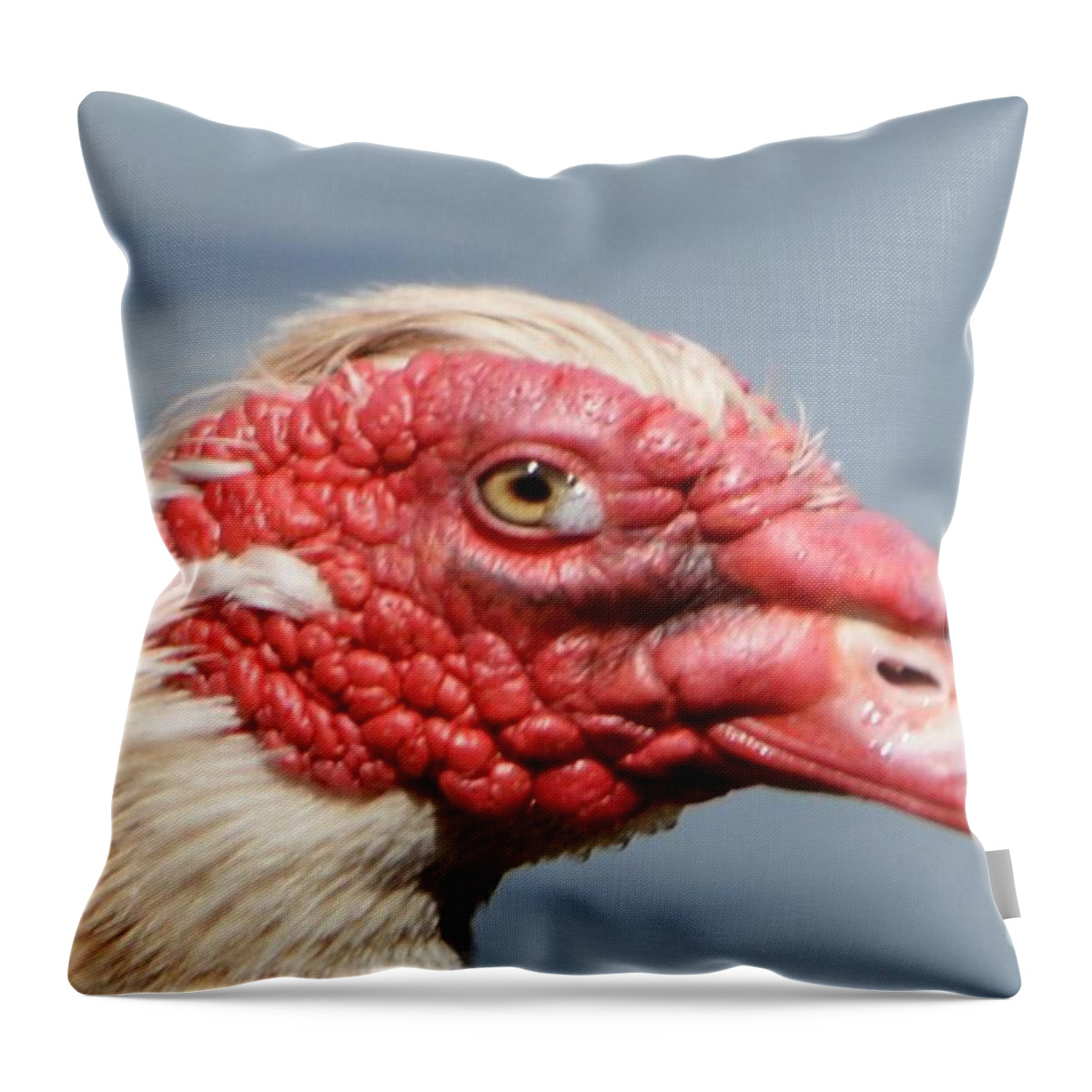 Geese Throw Pillow featuring the photograph Crying Goose by Dani McEvoy