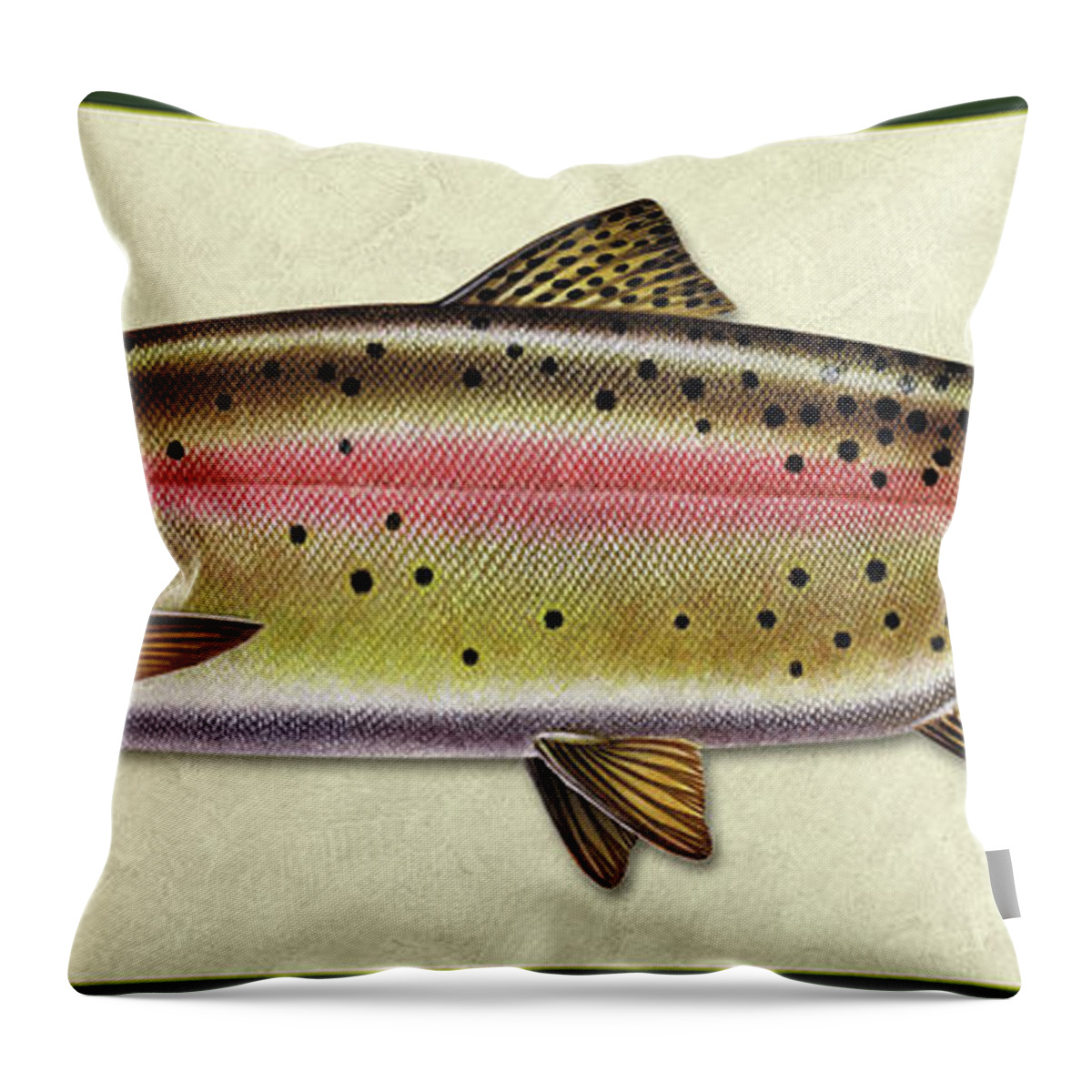 Jon Q Wright Fish Id Print Cutthroat Trout Flyfishing Fly Freshwater Throw Pillow featuring the painting Cutthroat trout ID by Jon Q Wright