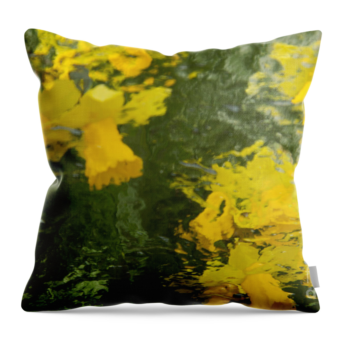 Daffodil Throw Pillow featuring the photograph Daffodil Impressions by Jeanette French