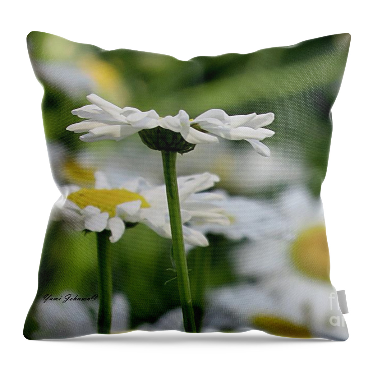 Daisy Throw Pillow featuring the photograph Daisy petals by Yumi Johnson