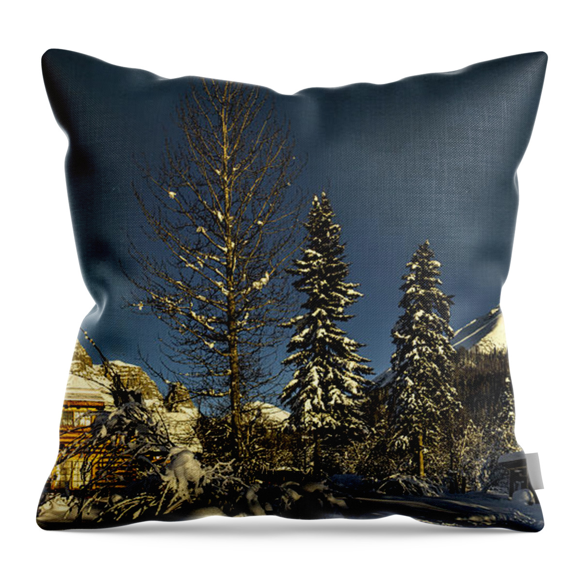 Cabin Throw Pillow featuring the photograph Dan Creek Cabin Feb. 2014 by Fred Denner
