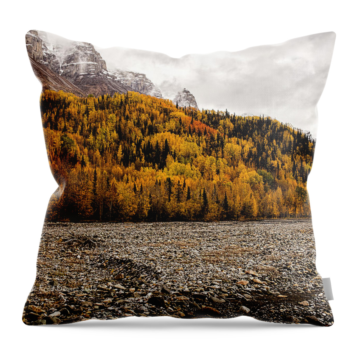 Autumn Colors Throw Pillow featuring the photograph Dan Creek Color by Fred Denner