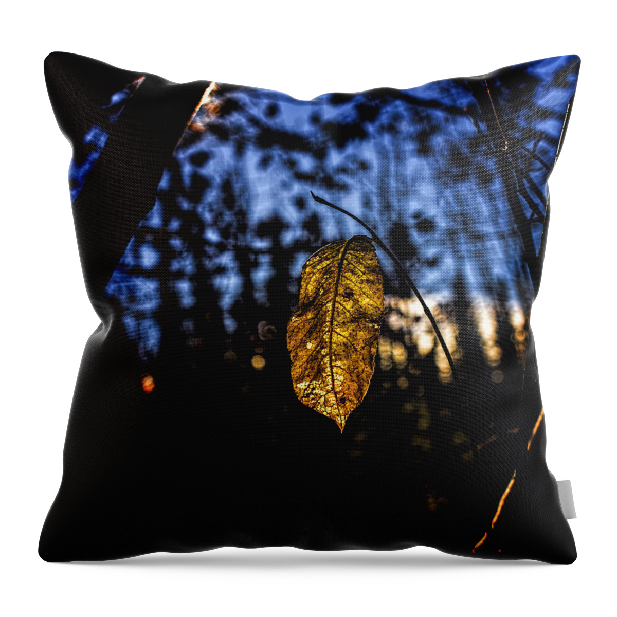 Fall Throw Pillow featuring the photograph Dan Creek Gold by Fred Denner