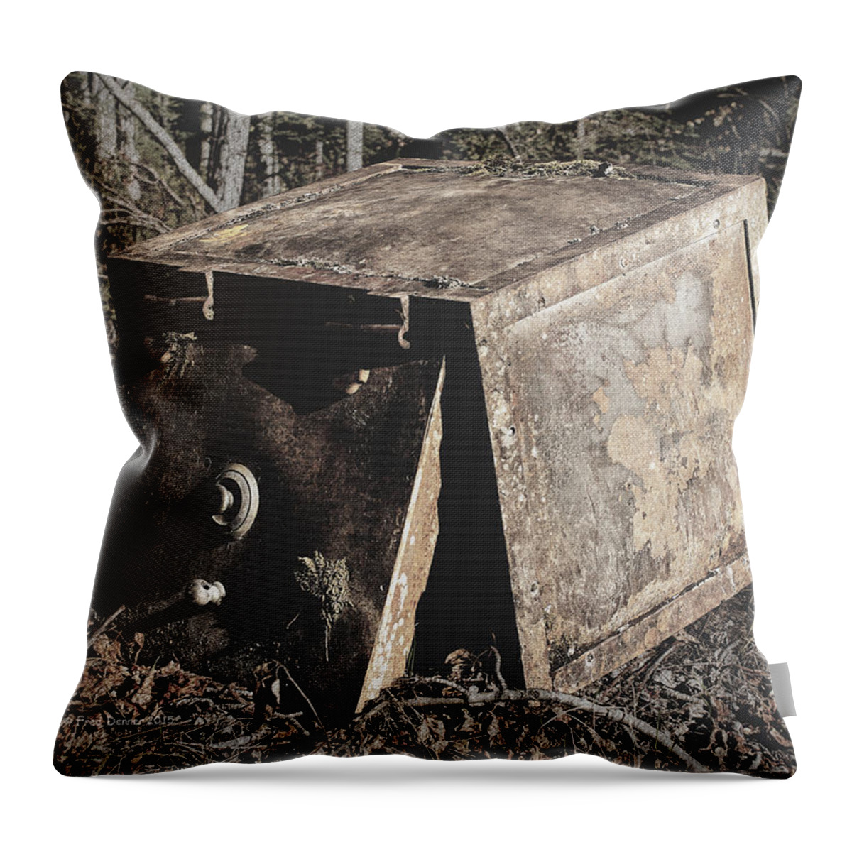 Safe Throw Pillow featuring the photograph Dan Creek Safe by Fred Denner