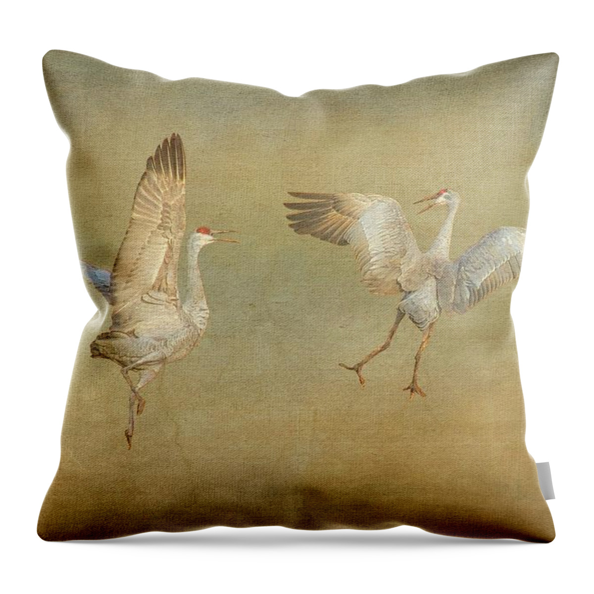 Nature Throw Pillow featuring the photograph Dance Ritual II, Sandhill Cranes by Zayne Diamond Photographic