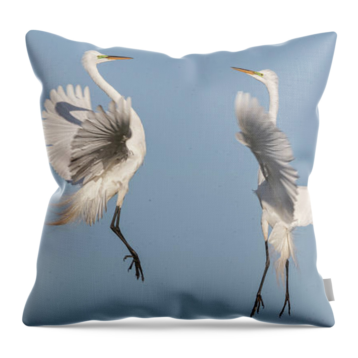 Great Egrets Throw Pillow featuring the photograph Dancing Egrets 2017-1 by Thomas Young