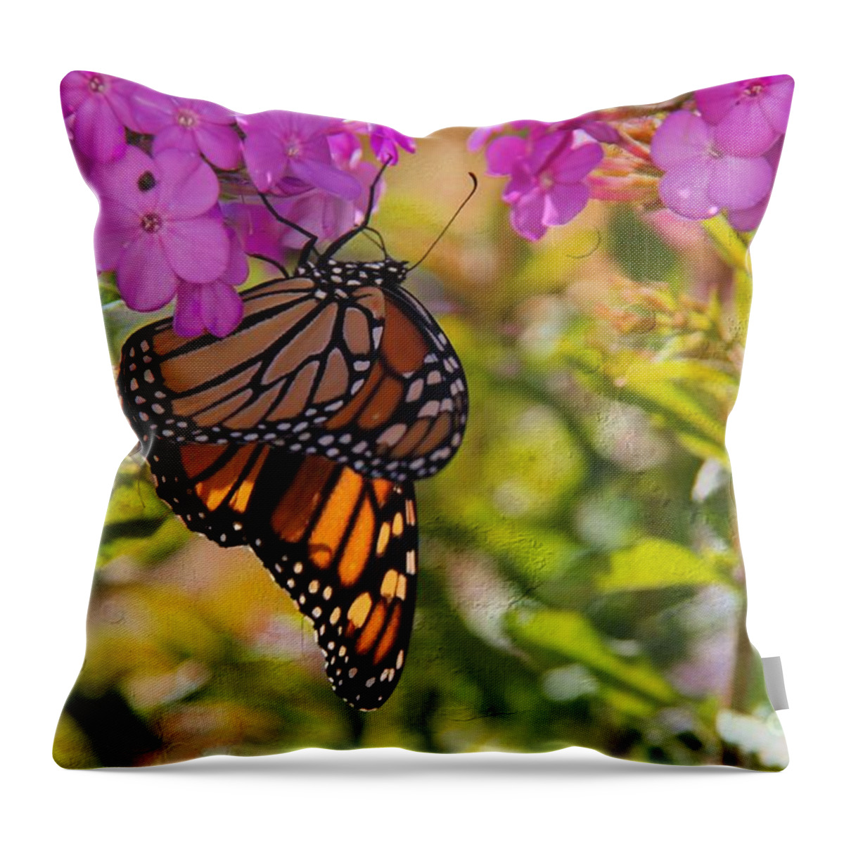Monarch Throw Pillow featuring the photograph Dangling Monarch  by Yumi Johnson