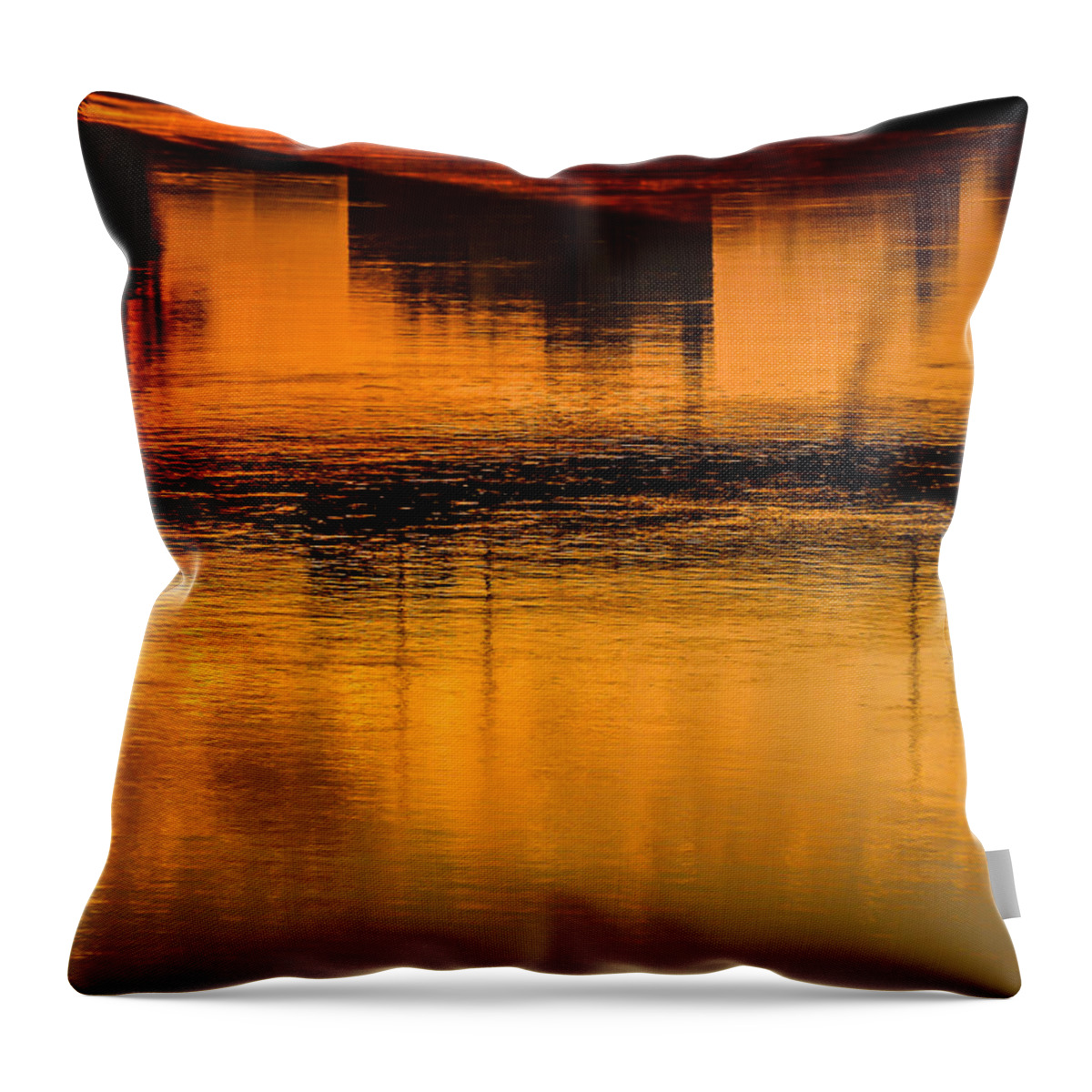 Danube Throw Pillow featuring the photograph Danube Glimmer by Pamela Newcomb