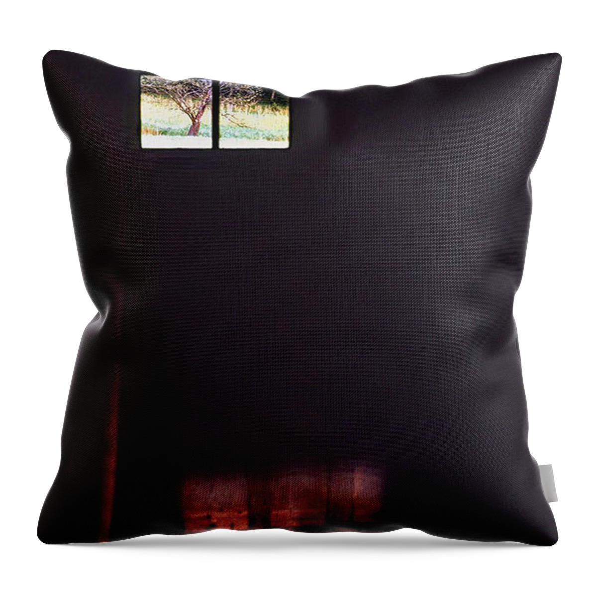 Cabin Throw Pillow featuring the photograph Dark Cabin Window by Ted Keller