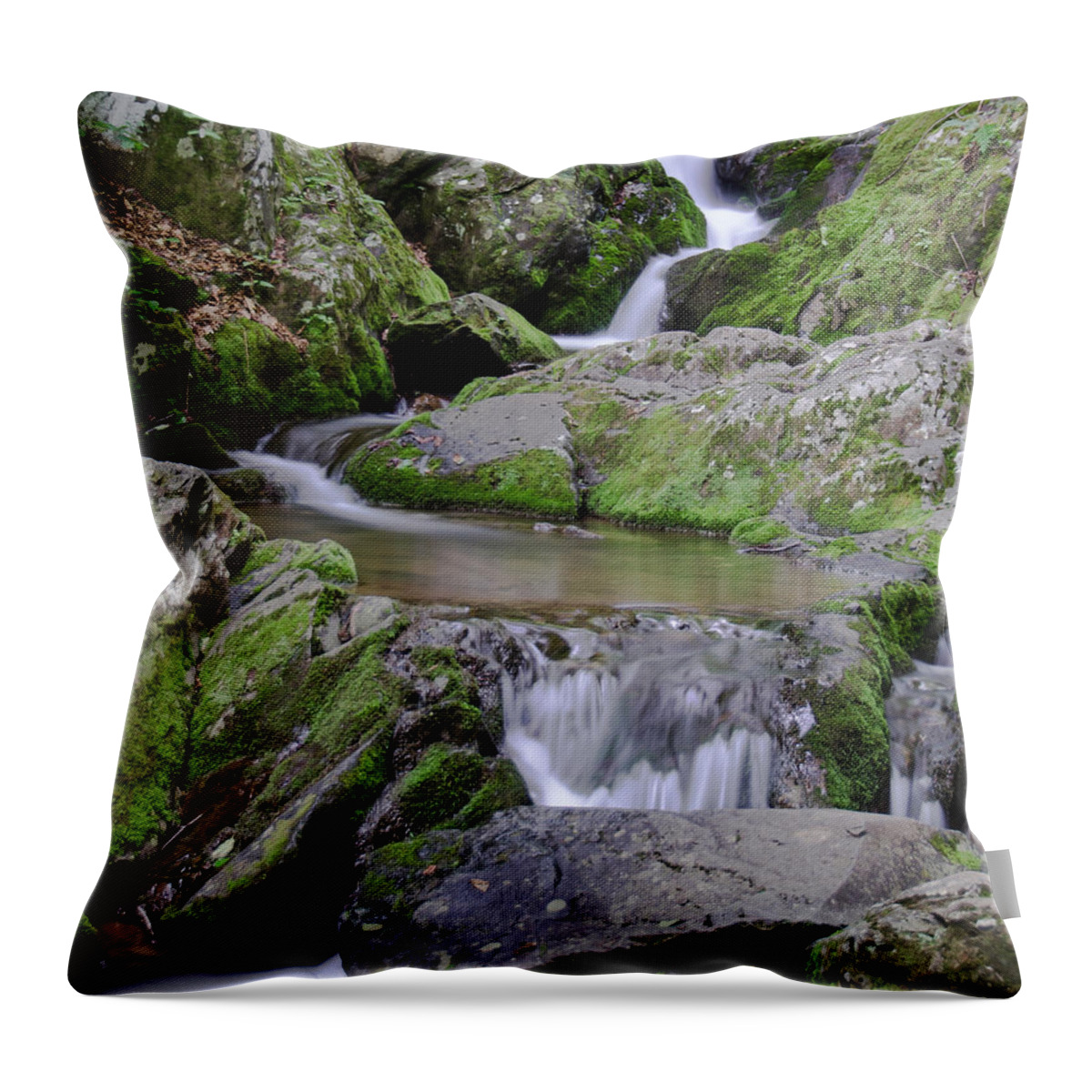 Water Falls Throw Pillow featuring the photograph Dark Hollow Falls by Jaime Mercado