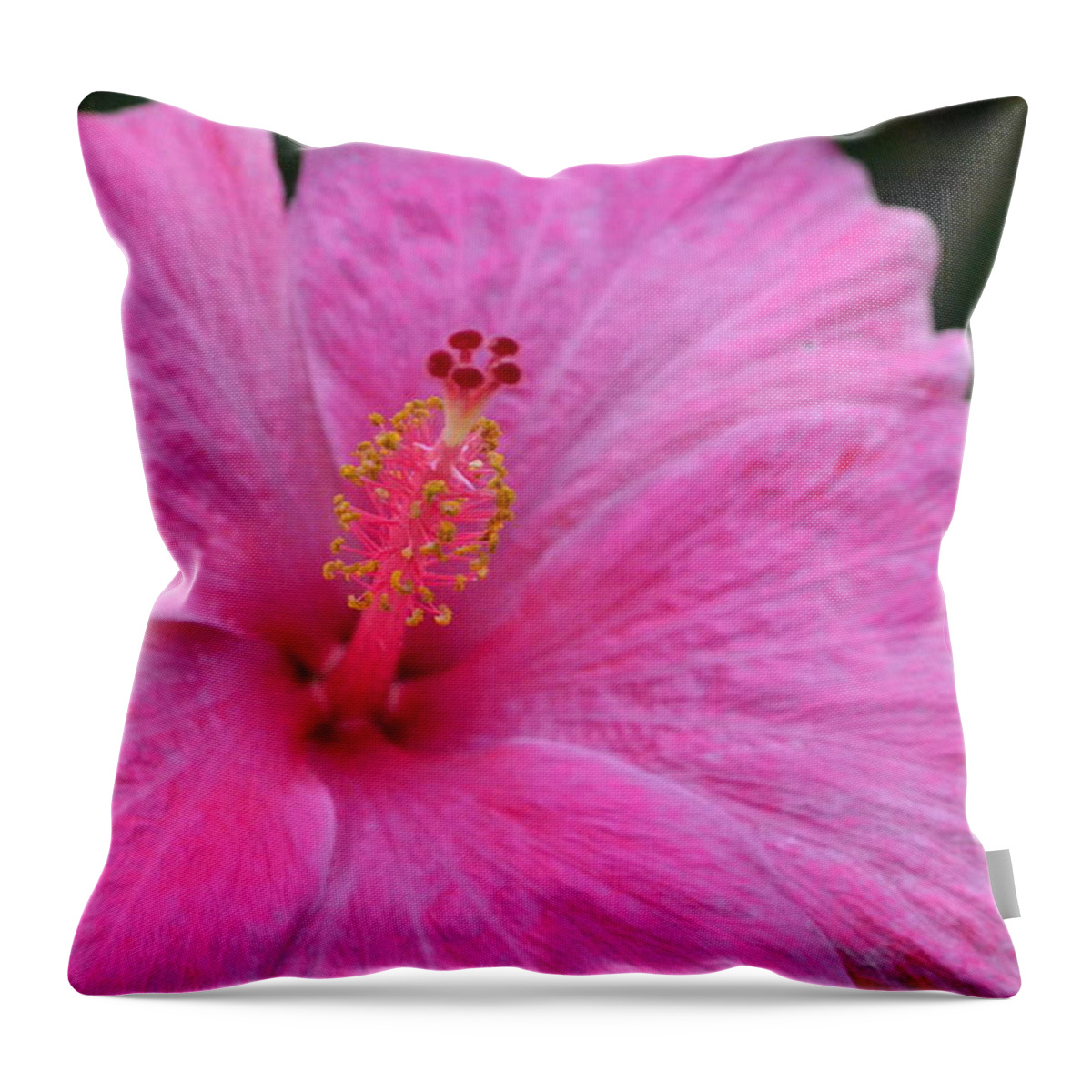 Flower Throw Pillow featuring the photograph Dark Pink Hibiscus 1 by Amy Fose