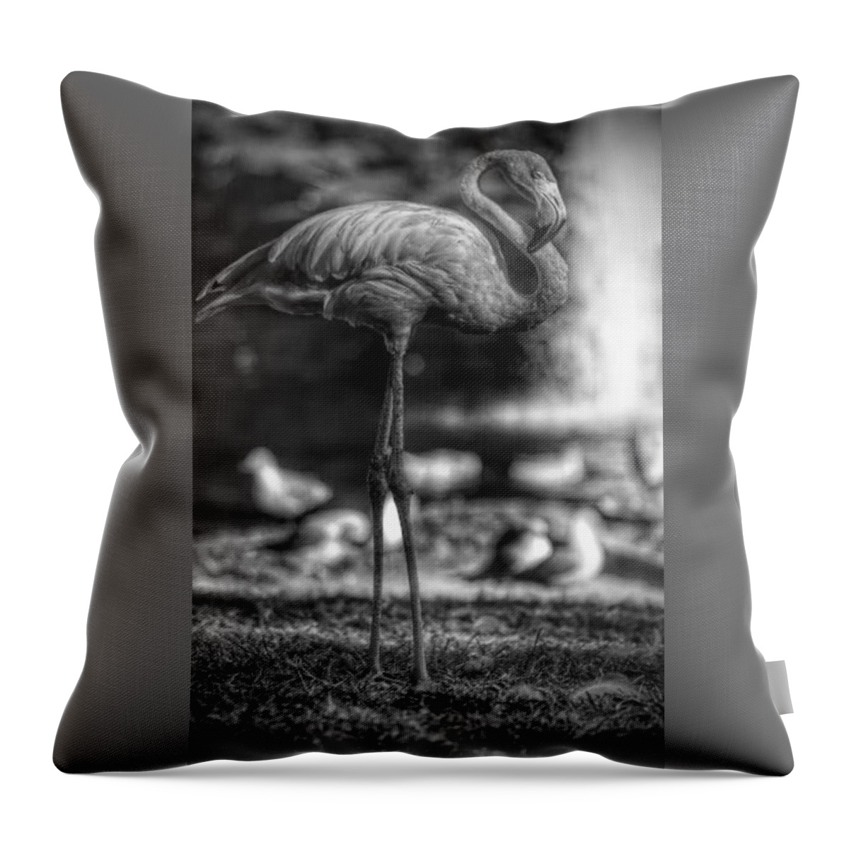 Flamingo Throw Pillow featuring the photograph Dark Side of the Pond by Stoney Lawrentz