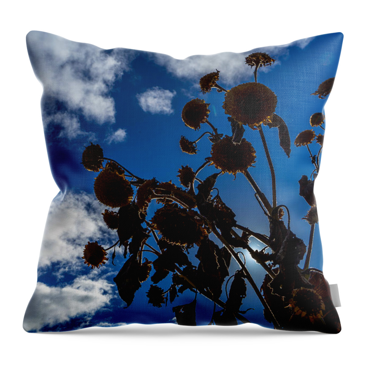 Sunset Throw Pillow featuring the photograph Darkening Skies by Derek Dean