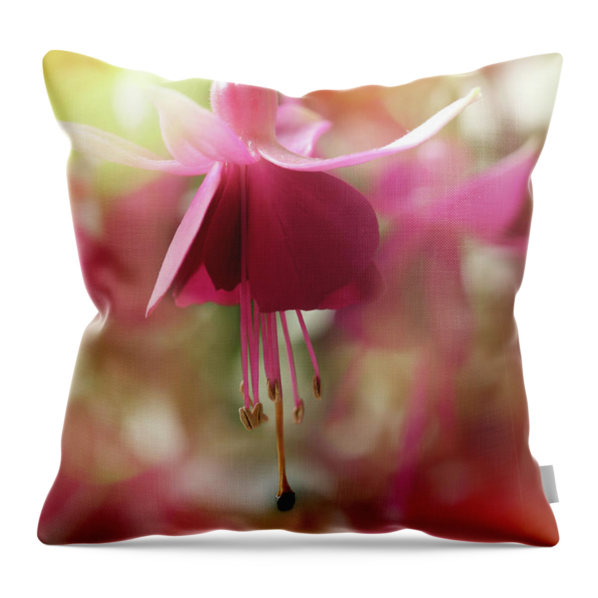 Pink Flower Throw Pillow featuring the photograph Dawn Petals by Mike Eingle