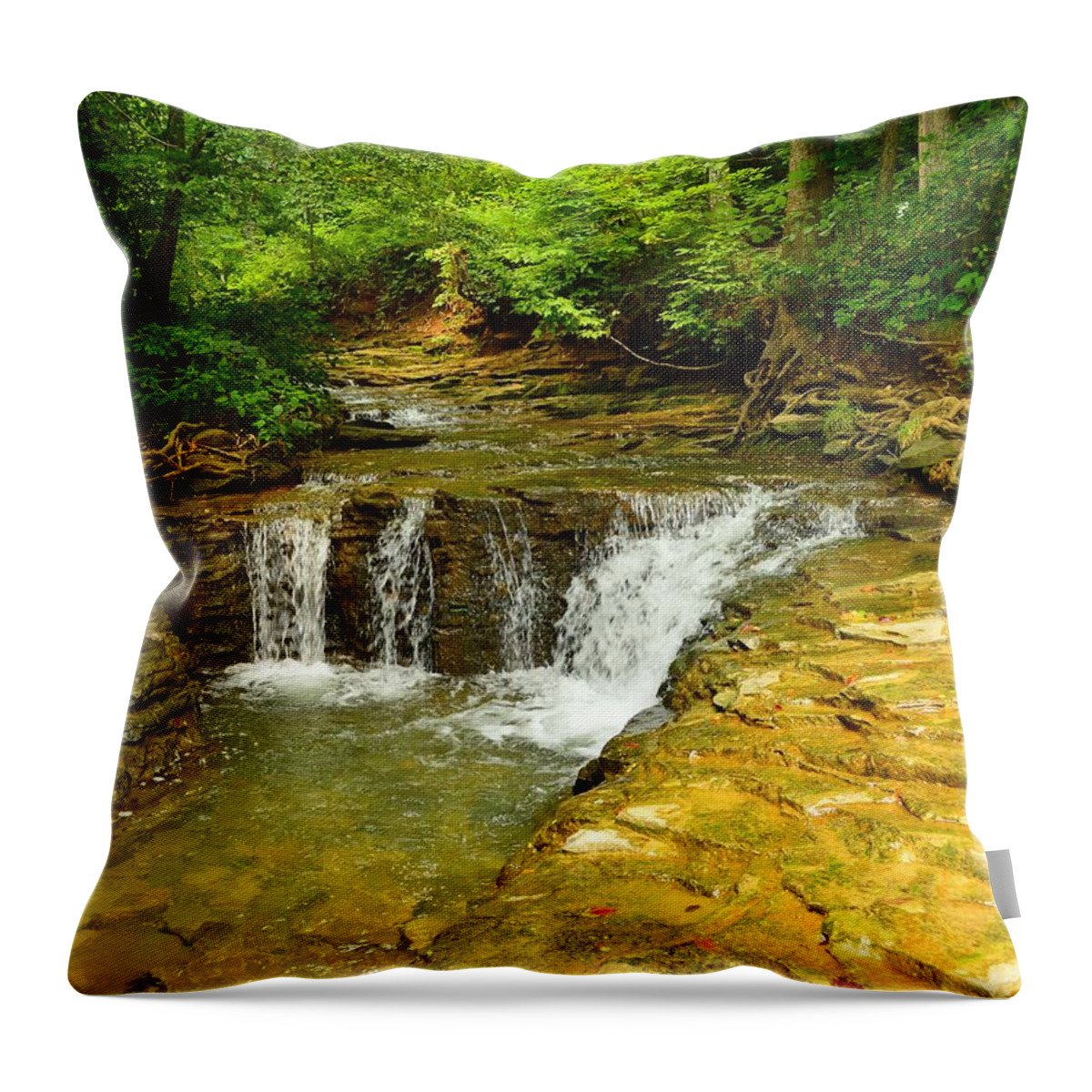 Saunder Springs Throw Pillow featuring the photograph Saunders Springs, Kentucky by Stacie Siemsen