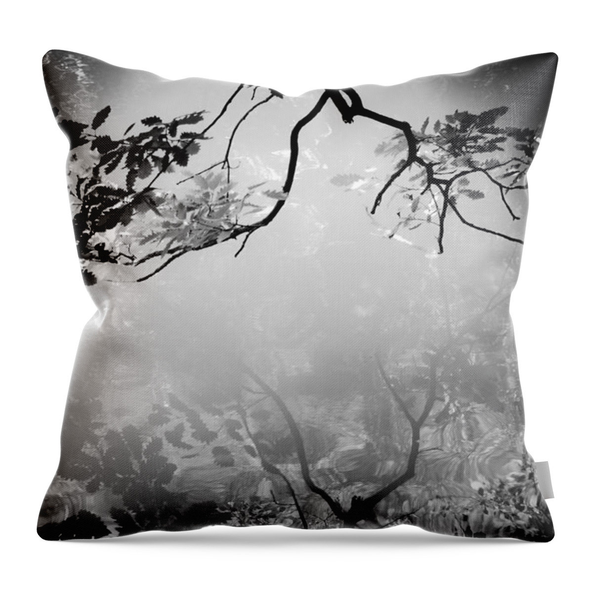 Leaves Throw Pillow featuring the photograph Daydream by Dorit Fuhg