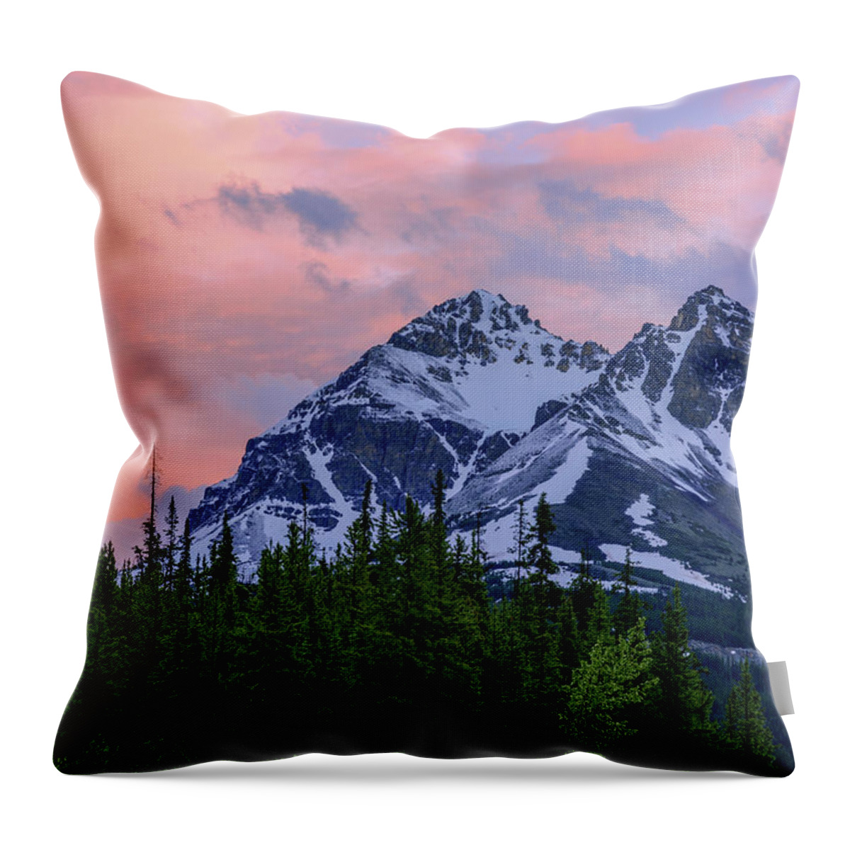 Nature Throw Pillow featuring the photograph Day's End by Chad Dutson