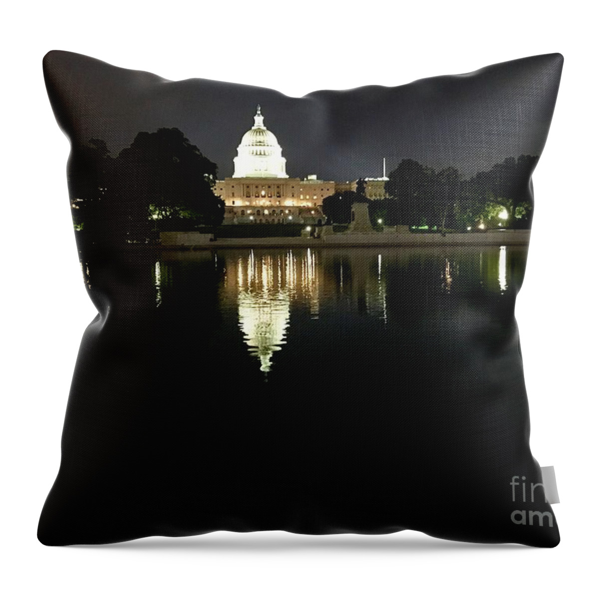 Washington Throw Pillow featuring the photograph D.c. by Dennis Richardson