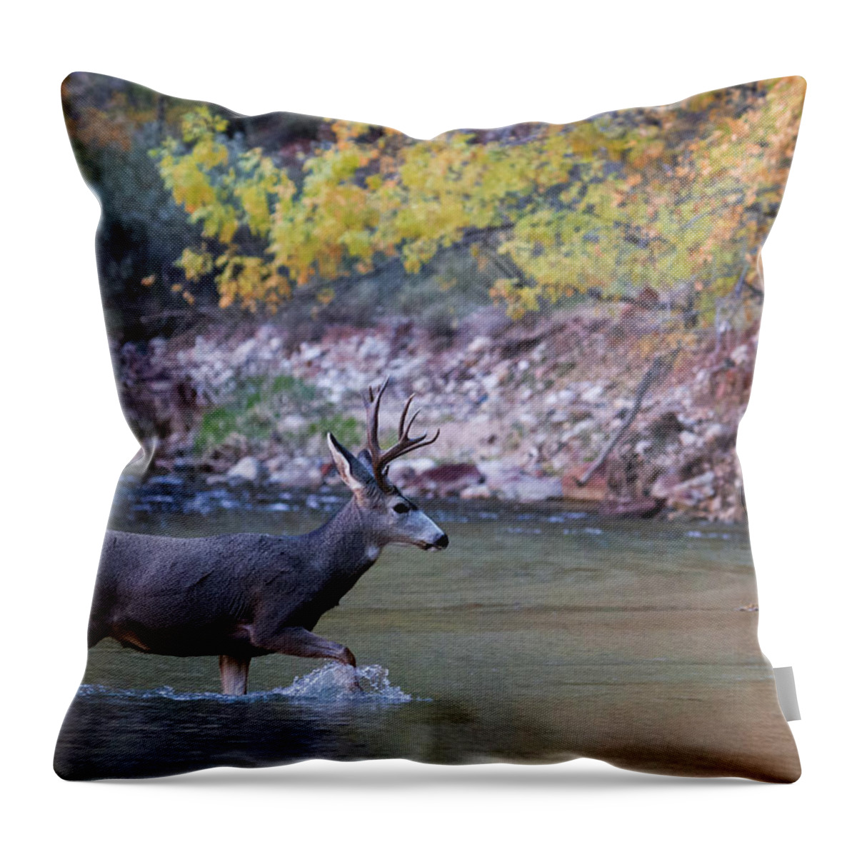 Zion Throw Pillow featuring the photograph Deer Crossing River by Wesley Aston