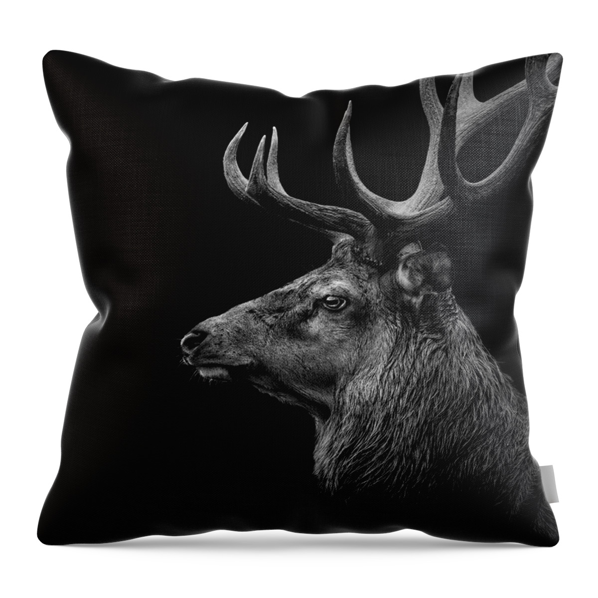 Deer Throw Pillow featuring the photograph Deer In Black And White by Lukas Holas